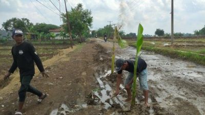 Warga Kesal, Jalan Rusak Diubah Jadi 'Kuburan' di Cirebon