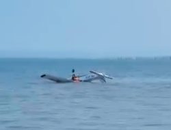 Pesawat Latih Akademi Penerbangan Indonesia Jatuh di Pantai Muncar, Banyuwangi!