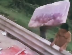 Tragedi Tol Cipularang: Kecelakaan Beruntun Berujung Penjarahan, Polisi Tak Berdaya Halau Warga
