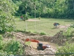PETI Sipogu Batang Natal: Aktivitas Liar di Pinggir Jalan, Aparat Penegak Hukum Bungkam?