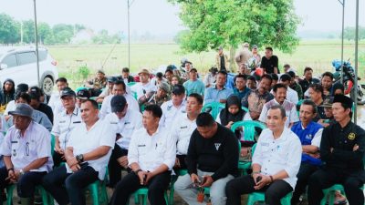Panen Perdana di Tengah Tantangan Iklim: Indramayu Buktikan Ketahanan Pangan!