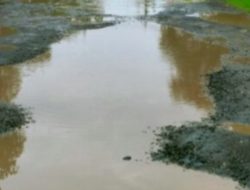 Jalan Tinumpuk-Segeran Indramayu: Kubangan Kerbau Mengancam Nyawa, Warga Menjerit!