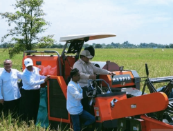 Presiden Prabowo Pimpin Panen Raya Nasional di Majalengka: Ketahanan Pangan Makin Kokoh!