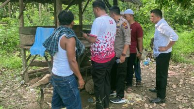 Geger! Warga Madina Temukan Sabu di Gubuk Ladang, Pelaku Nekat Serang Pelapor