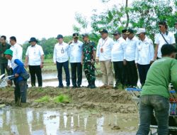 Wakil Bupati Indramayu Gerak Cepat Laksanakan Percepatan Tanam Padi di Lahan Tadah Hujan