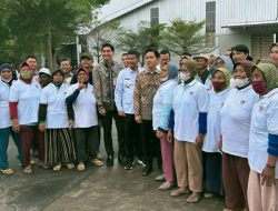 Gebrak Ketahanan Pangan: Gibran Blusukan ke Pabrik Beras Indramayu, Sinyal Positif untuk Petani!