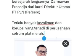 Dihebohkan Tagar #CopotDarmo Jelang RUPS PLN, Ada Apa?