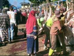 Dusun Krajan Banjarnegara Kembali ‘Banjir’ Daging Kurban: 344 Hewan Disembelih, Ribuan Bungkus Dibagikan!