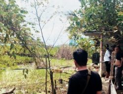 Dramatis! Pencuri Motor Berpistol di Subang Dilumpuhkan Polisi Usai Kejar-kejaran di Rawa