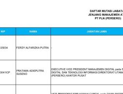 Nepotisme Menggurita di PLN, Kolega dan Kerabat Dirut Kuasai Jabatan Strategis
