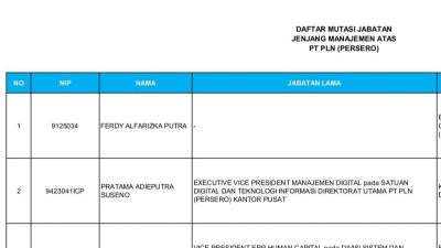 Nepotisme Menggurita di PLN, Kolega dan Kerabat Dirut Kuasai Jabatan Strategis