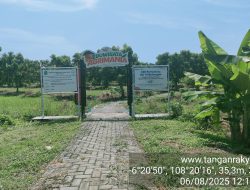 Mangga Agrimania’ dari Indramayu! Petani Lokal Panen Cuan dari Lahan ‘Tidur’ Pertamina