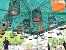 Kontes Burung Berkicau, Cara Kilang Balongan Jalin Sinergitas Antar Pekerja dan Mitra Kerja