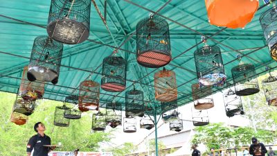 Kontes Burung Berkicau, Cara Kilang Balongan Jalin Sinergitas Antar Pekerja dan Mitra Kerja