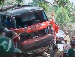 Tragedi di Lereng Bromo, Bus Rombongan RS Bina Sehat Jember Kecelakaan, 8 Orang Meninggal Dunia