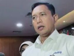 Stop Impor! Bulog Siap Borong 4 Juta Ton Beras Petani Lokal di 2026