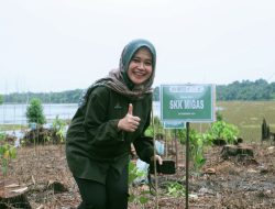 Hijaukan Kalimantan: PHM Rehabilitasi 345 Hektare Hutan Lindung Balikpapan Lewat Pola Agroforestri