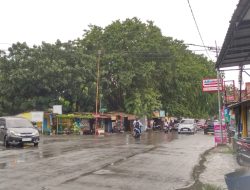 Nyawa Warga Sindang Terancam Pohon Tumbang, Pemkab Indramayu Dalih “Efisiensi Anggaran”