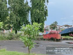 Indramayu “Dihajar” Cuaca Ekstrem: Pohon Tumbang & Banjir Kepung Kota, Warga: Mana Pemeliharaan DLH?!