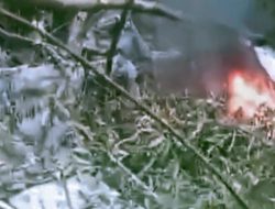 Pesawat Kargo Pelita Air Pengangkut BBM Jatuh di Krayan, Investigasi Mulai Dilakukan