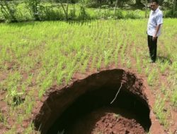 Fenomena Alam di Gunungkidul: Dua Sinkhole Muncul dalam Sepekan, Warga Diminta Waspada