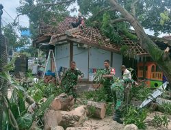 Aksi Sigap Danramil 1601/Indramayu Bersihkan Pohon Tumbang di Kelurahan Kepandean