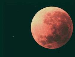 Jangan Terlewat! Bulan Merah Darah Hiasi Langit Indonesia Besok Malam, Ini Jadwalnya