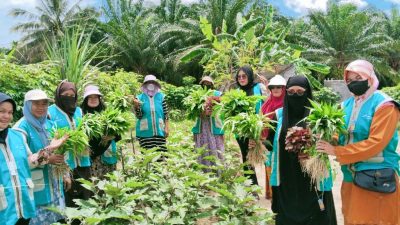 Harum Jahe di Bumi Hijau: Ibu-Ibu Duri Sulap Lahan Mati Jadi Apotek Hidup Warisan Leluhur