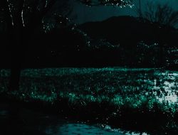 Misteri “Nyi Kunti” di TPA Pecuk Indramayu, Antara Mitos dan Ancaman Nyata di Jalur Sepi