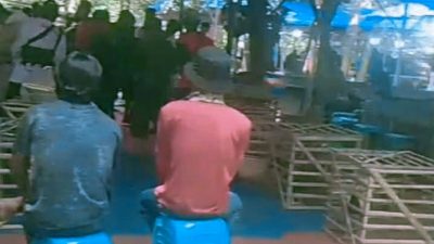 Geger! Praktik Sabung Ayam di Jatibarang Dibongkar Netizen, Aparat Ditantang Sikat Bandar Besar!