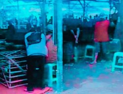 “Pengkhianatan Institusi!” IWO Wajo Bongkar Dugaan Oknum Intel Jadi ‘Tameng’ Judi Sabung Ayam