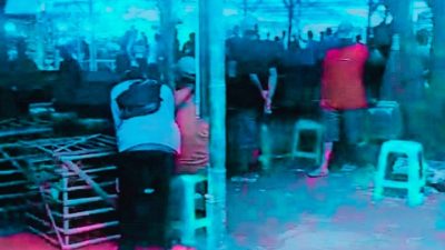 “Pengkhianatan Institusi!” IWO Wajo Bongkar Dugaan Oknum Intel Jadi ‘Tameng’ Judi Sabung Ayam