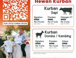 Jemput Keberkahan, Mizan Amanah Hadirkan Layanan Qurban untuk Anak Yatim Pelosok Negeri