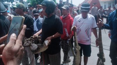 BIKIN GELENG-GELENG! Target 10 Ribu Massa, Demo KOMPI di Indramayu Malah Sepi dan Berujung ‘Hadiah’ Biawak
