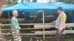 Dukung Asta Cita 2026, Polsek Sungai Batang Dampingi Peternak Sapi di Inhil Raih Swasembada Pangan