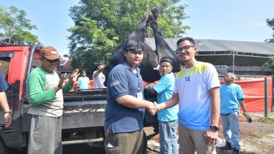 Rayakan Idul Adha, Pertamina Patra Niaga Kilang Balongan Salurkan Puluhan Hewan Kurban Untuk Masyarakat dan Stakeholder
