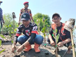 Aksi Nyata Hijaukan Pesisir, Pemuda Pancasila Indramayu Tanam 1.000 Mangrove di Pantai Karangsong