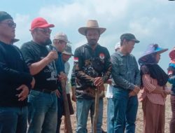 Perkuat Ketahanan Pangan Nasional, TNI AL dan Koperasi BBS Tanam Kedelai di Indramayu