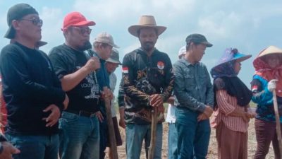 Perkuat Ketahanan Pangan Nasional, TNI AL dan Koperasi BBS Tanam Kedelai di Indramayu
