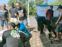 Peduli Sesama di Hari Raya Korban, Anggota DPRD Jabar Hilal Himawan Salurkan 3 Sapi dan 18 Kambing