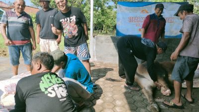 Peduli Sesama di Hari Raya Korban, Anggota DPRD Jabar Hilal Himawan Salurkan 3 Sapi dan 18 Kambing