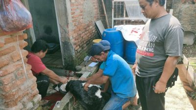 IWO Indramayu Blusukan Bagikan Daging Kurban, Sentuh Langsung Hati Warga di Hari Raya