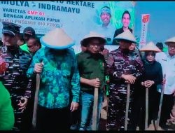Kejar Swasembada Pangan, Utusan Khusus Presiden Hashim Pimpin Penanaman Kedelai Nasional di Indramayu
