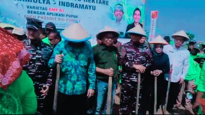 Kejar Swasembada Pangan, Utusan Khusus Presiden Hashim Pimpin Penanaman Kedelai Nasional di Indramayu