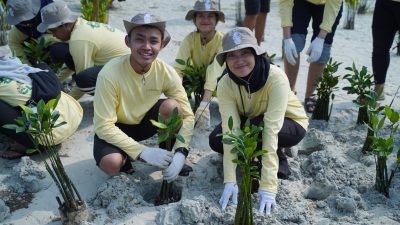 Perkuat Ekosistem Pesisir, Pertamina Hulu Indonesia Tanam 1.500 Bibit Mangrove dan Lamun di Pulau Pari