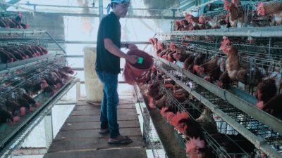 Liburan Seru Sambil Belajar: Embung Jangkar Indramayu Jadi Destinasi Wisata Edukasi Pilihan Keluarga