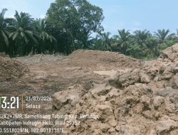 IWO Inhu Seret Ketua Pemuda ‘Pemusnah’ Hutan ke Bui Gegara Ancam Wartawan & Beking Tambang Emas Ilegal