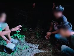 Jaringan Narkoba Rupat Dibongkar! 7 Kg Sabu Ditanam di Kebun Sawit Bengkalis Gagal Diedarkan