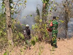 Sinyal Darurat di Tol Cipali: Lahan Perhutani Gantar Indramayu Terbakar, Warga dan Babinsa Bergerak Cepat