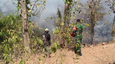 Sinyal Darurat di Tol Cipali: Lahan Perhutani Gantar Indramayu Terbakar, Warga dan Babinsa Bergerak Cepat